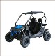 BUGGY 2 SEATER 196CC 4 STOKE AIR COOLED